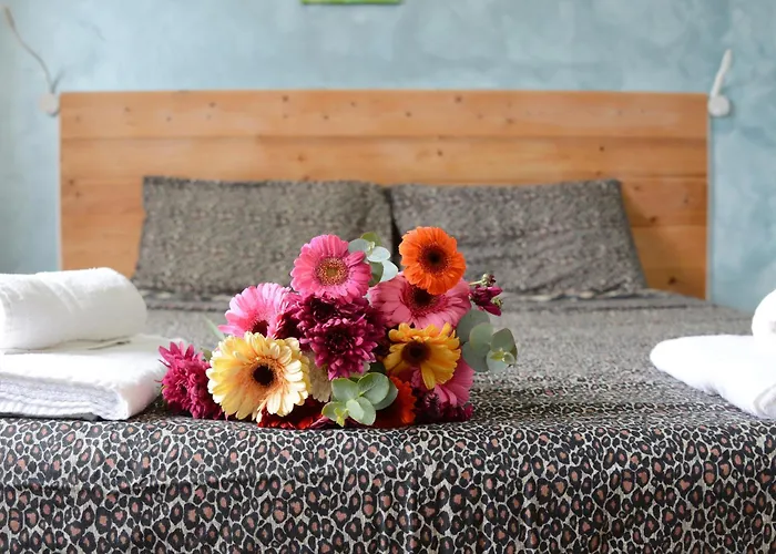 Corso 205 X Ap Appartamento *